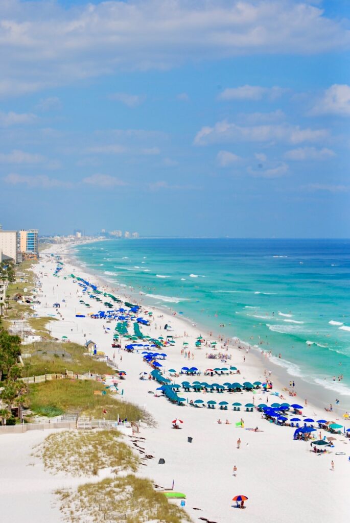 people on beach during daytime in Florida